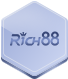 RICH88 Icon